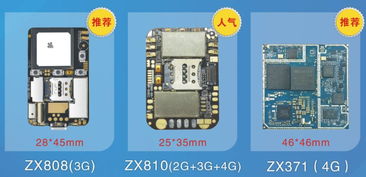 十年專注，領(lǐng)航未來(lái) 一家GPS電子寵物研發(fā)企業(yè)的創(chuàng)新之路